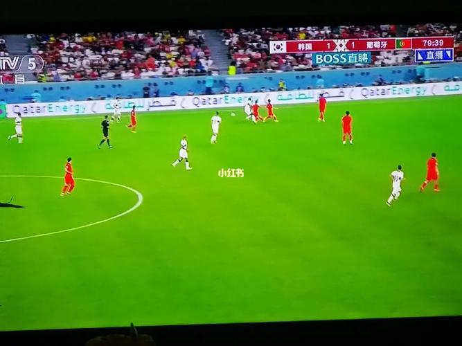直播韩国vs葡萄牙结束