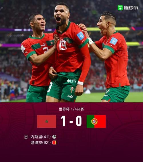 葡萄牙vs卡塔尔在哪里